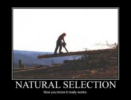 Darwinism Natural Selection