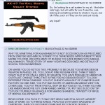 Need Assault Rifle Accessories?