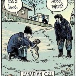 A Difficult Time at CSI-Canada