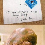Safe Sex Fail