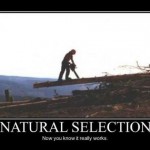 Darwinism in Action