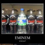 The Real Slim Shady
