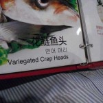Not Exactly What I Expected at the Chinese Restaurant