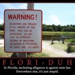 Flori-Duh