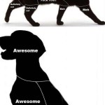 Cat Petting vs. Dog Petting