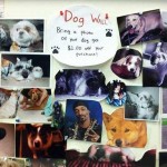 One Dollar Off with Photo of Dogg