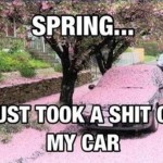 Today’s Weather Forecast: Bipolar With a Chance of Pollen