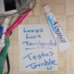 Never, Ever Brush Your Teeth in the Dark