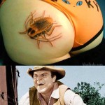 Does She Call it a Rump Roach?