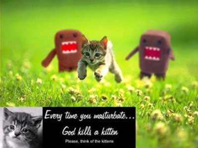 God Kills a Kitten