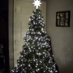 Hot Toddies, Christmas Trees & Nekkid Bell Ringin’