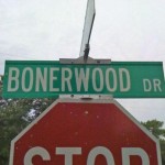 Wonder About the Property Values on Bonerwood Dr?
