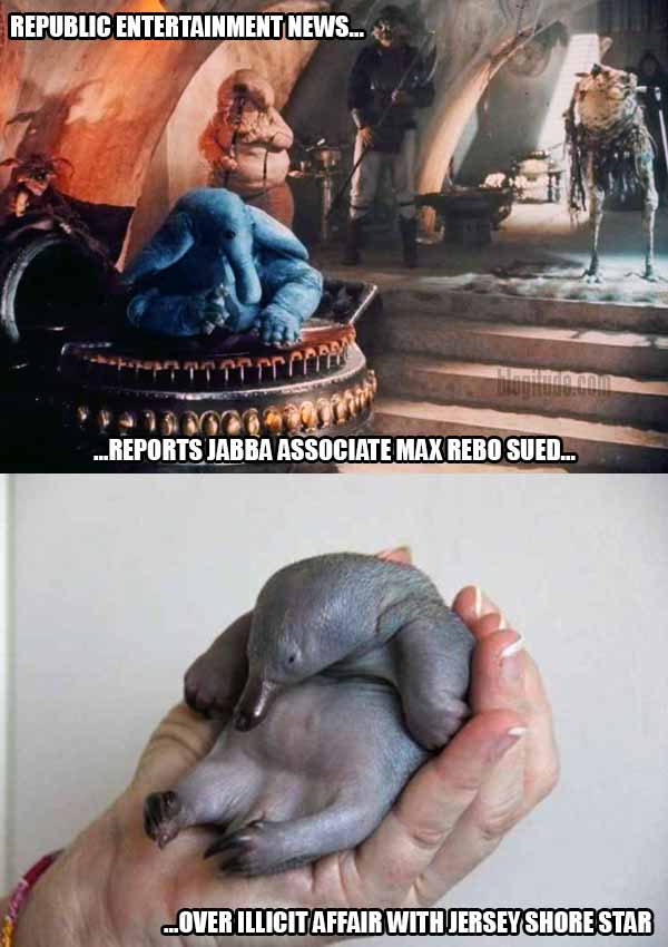 Republic Entertainment News reports Jabba associate Max Rebo sued for illicit affair with Jersey Shore star..