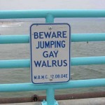Walrus Target of Sexual Preference Discrimination