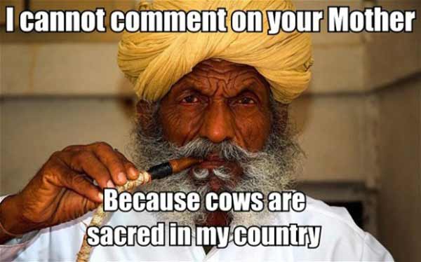 I cannot comment on your Mother... Because cows are sacred in my country.