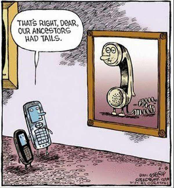 Cellphone: "That's right, dead, our ancestors had tails."