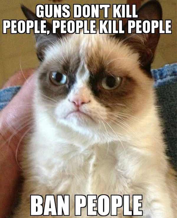 Grumpy Cat: Guns Don't Kill People. People Kill People. Ban People.
