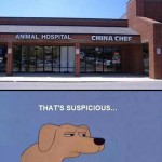 China Chef: In the Strip Mall Next to the Animal Hospital
