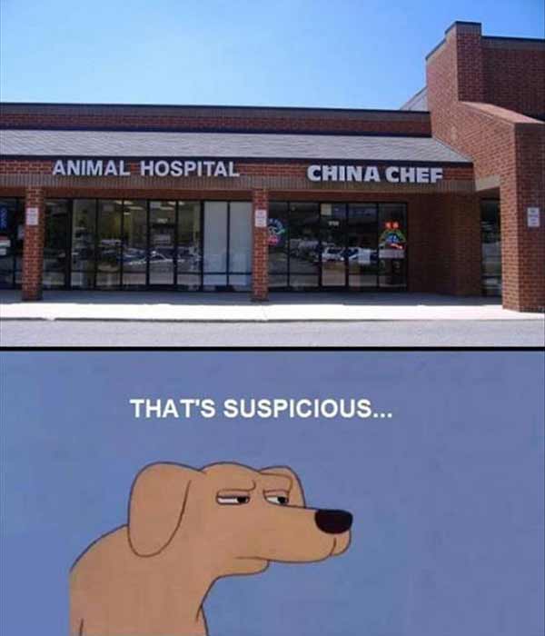 Animal Hospital beside a Chinese Restaurant?  That's suspicious...