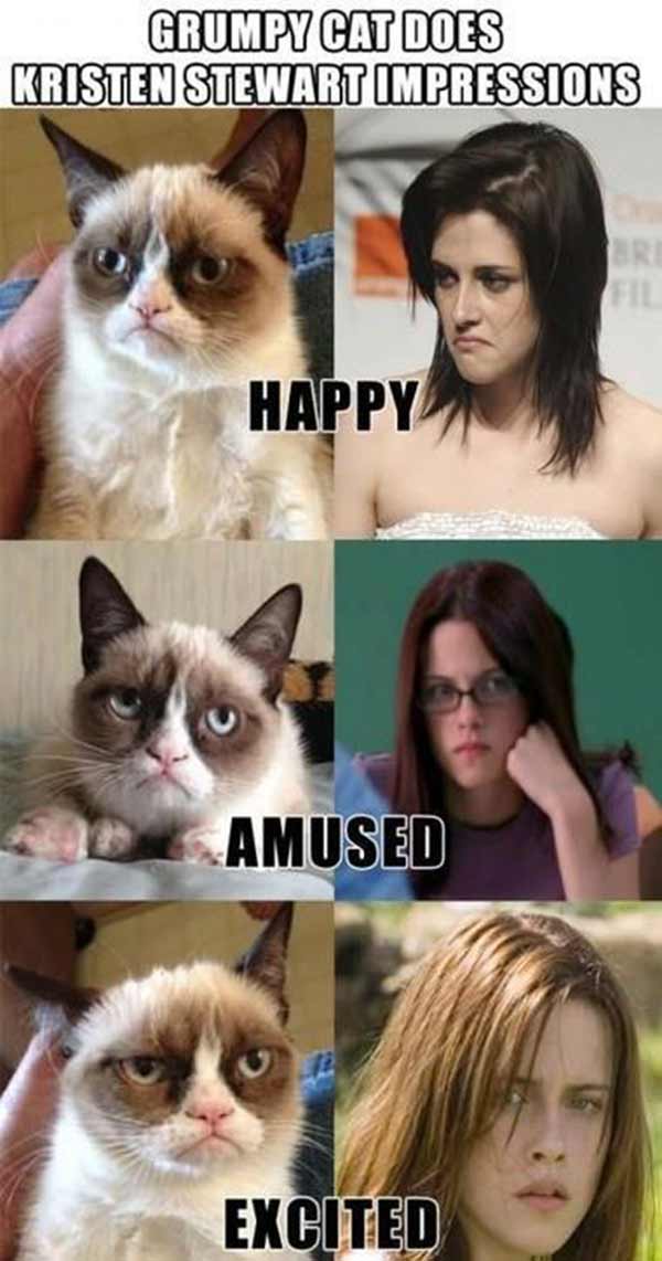 Grumpy Cat Stewart Does Kristen Stewart Impressions: Happy, Amused, Excited