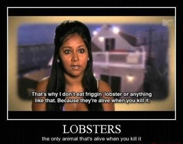 Snooki: "That's why I don't eat friggin' lobster or anything like that. Because they're alive when you kill it."