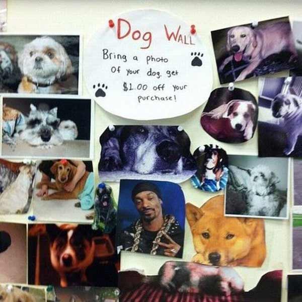 Dog Wall: Bring a photo of your Dog and get $1 Off.
