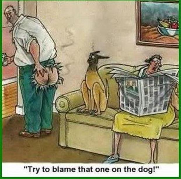 Farted: "Try to blame that one of the dog!"