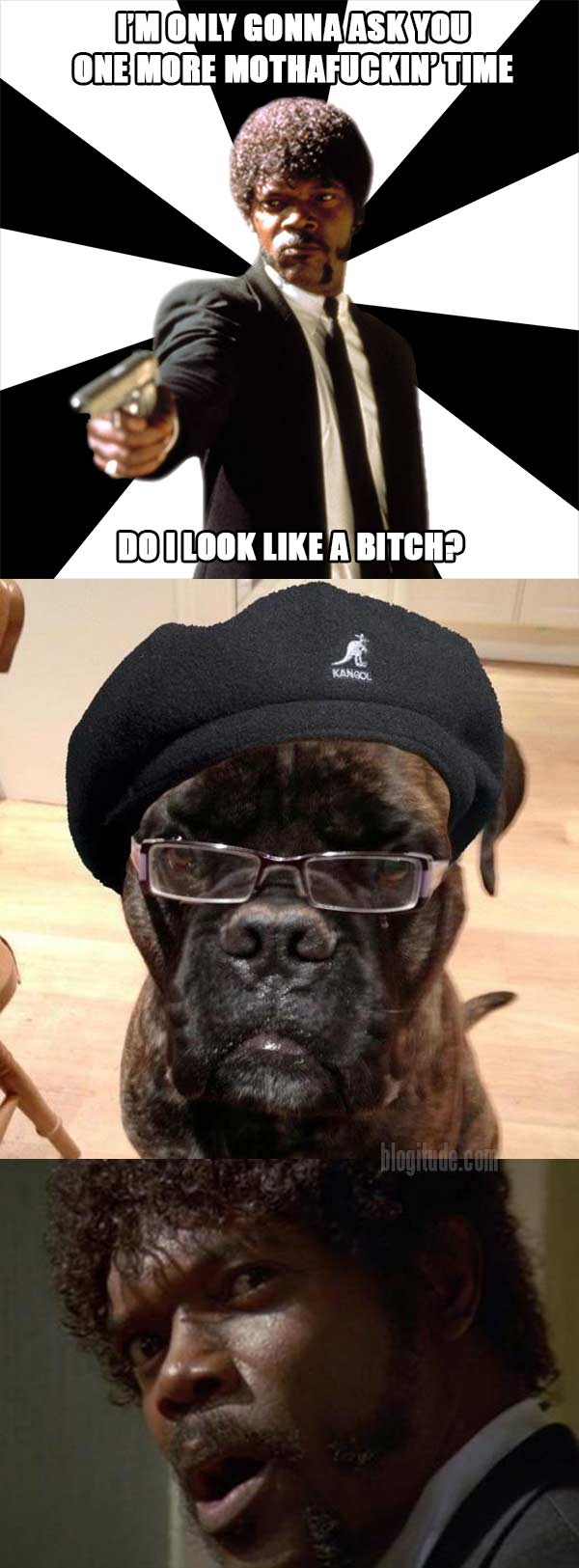 I'm only gonna ask you this one more mothafuckin' time... Do I look like a bitch?  (Samuel L. Dogson)  (WTF?!)