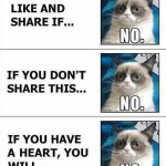 Like/Comment/Ignore on Facebook?