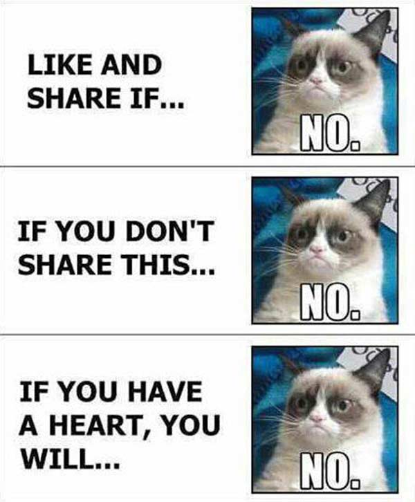 Facebook: "Like and share if..." Grumpy Cat: "NO."  Facebook: "If you don't share this..." Grumpy Cat: "No."  Facebook: "If you have a heart, you will..." Grumpy Cat: "No."