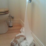 Toilet Paper Saving Tip for Cat Owners
