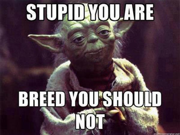 Stupid you are. Breed, you should not.