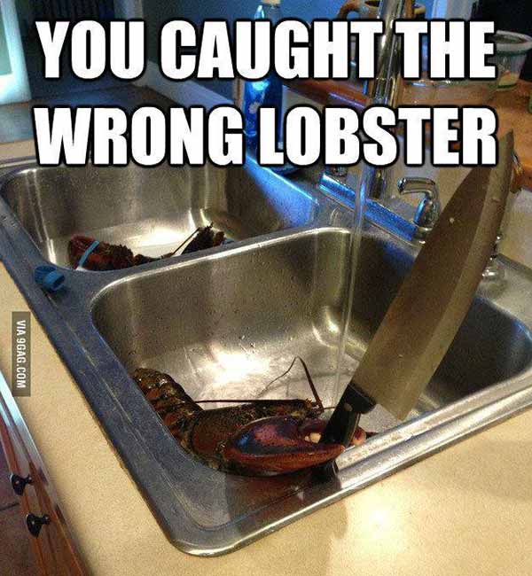 Lobster with a Knife: "You Caught the Wrong Lobster!"