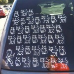 Don’t Mess With the Crazy Cat Lady