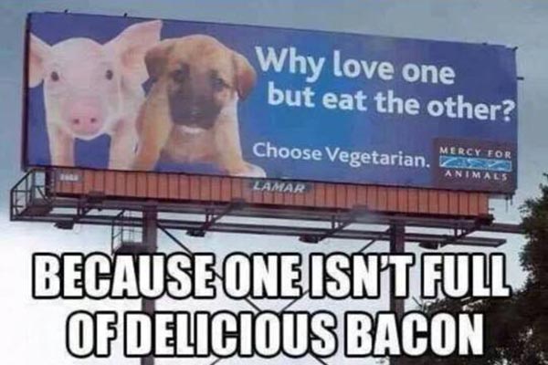 Why Love One But Not the Other? Because One Isn't Full of Delicious Bacon
