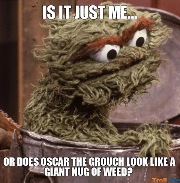 Is it just me, or does Oscar the Grouch look like a giant nug of weed?
