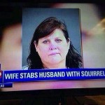 Stabbed With a Squirrel?