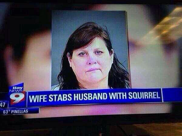 Wife Stabs Husband With Squirrel