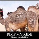 Camel Art, Anyone?