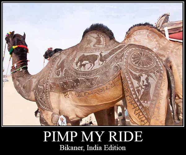 Pimp My Ride: Bikaner, India Edition
