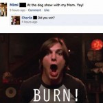 Facebook: The Dog Show