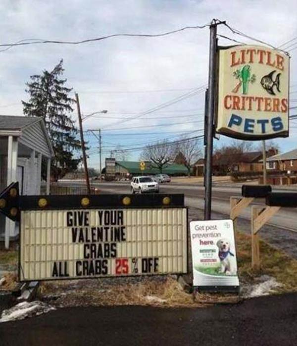 Little Critters Pet Store Sign: "Give Your Valentine Crabs!  All Crabs 25% Off!"
