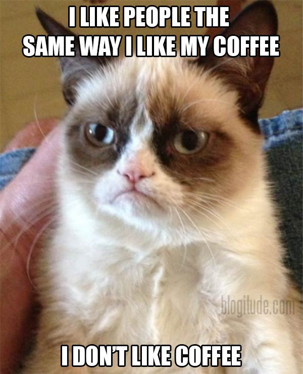 Grumpy Cat: "I like people the same way I like my coffee.  I don't like coffee."