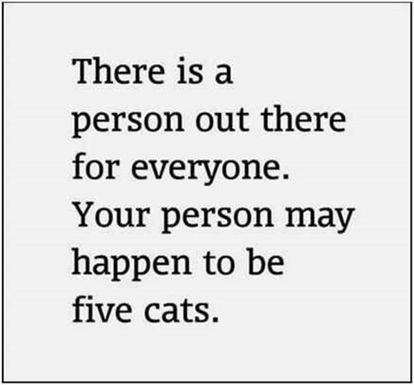 There is a person out there for everyone.  Your person may happen to be five cats.