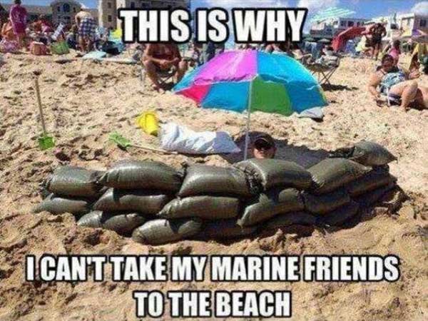 This is why I can't take my marine friends to the beach.