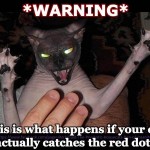 Don’t Let Your Cat Catch the Red Dot!