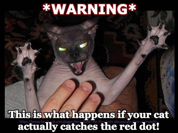 * Warning * This is what happens if your cat actually catches the red dot.
