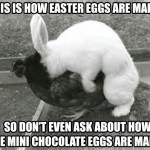 How Easter Eggs Are Made