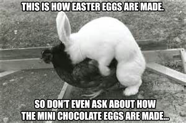 This is how Easter Eggs are made. So don't even ask about how the Mini Chocolate eggs are made...