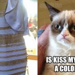 Grumpy Cat Weighs In On “What Color Is It?”
